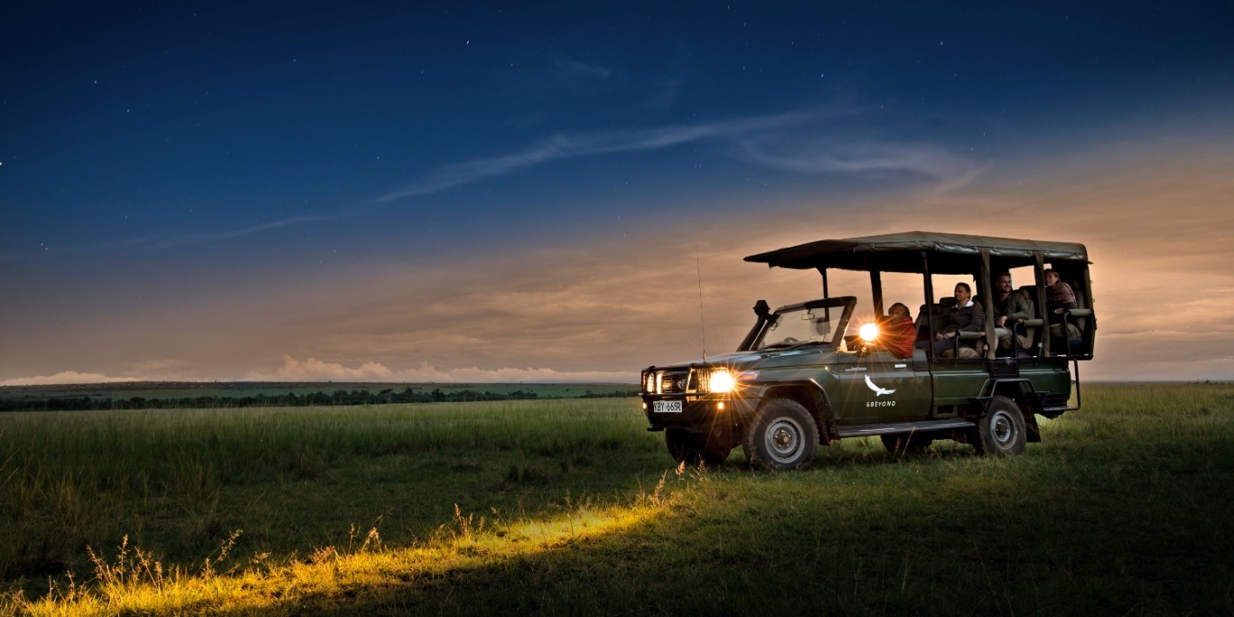 Night drive safari