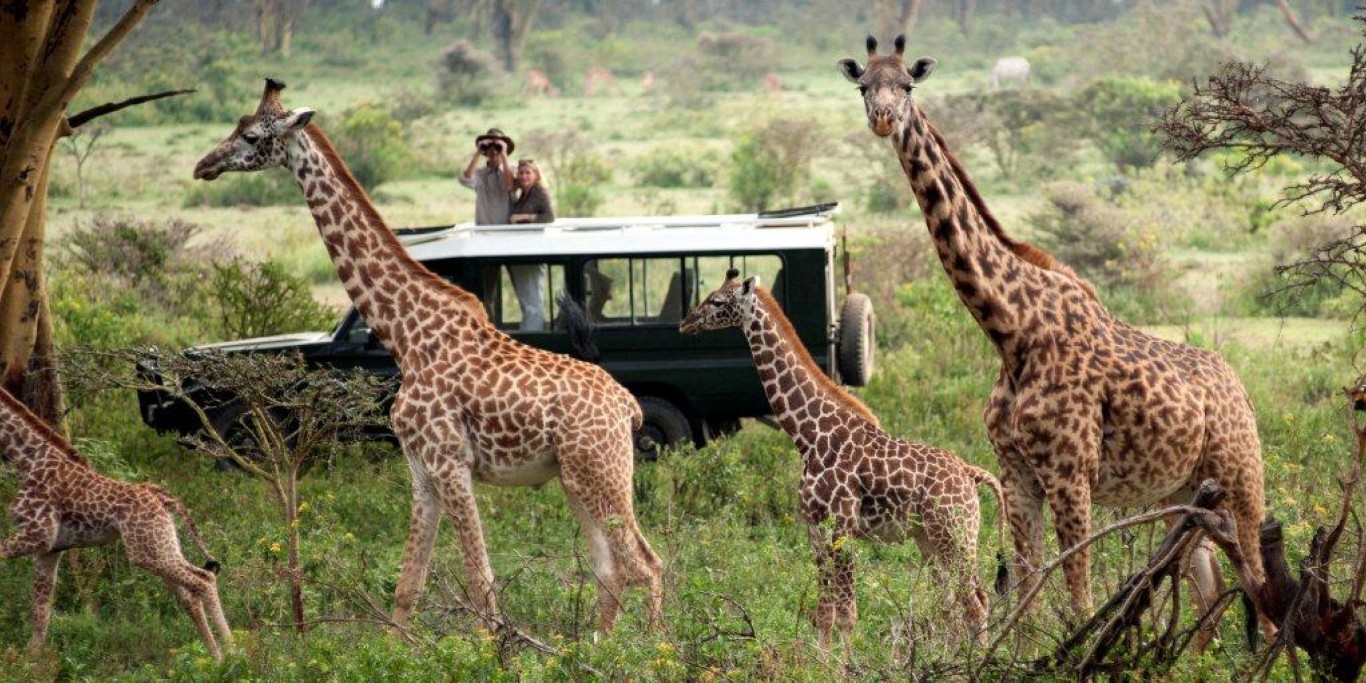 Safari in Kenya