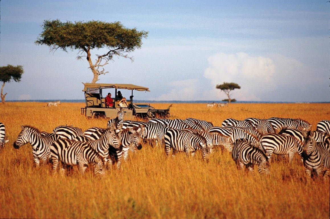 Safari in Tanzania